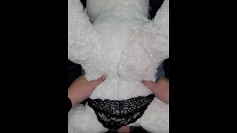 Fan purchased plushie and I fucked it just the way they wanted